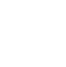 ceo manager